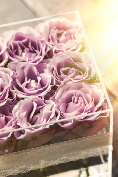 istock Pastel purple roses in clear acrylic box 1014980276