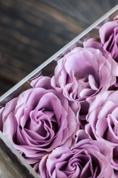 istock Pastel purple roses in clear acrylic box 1014980278