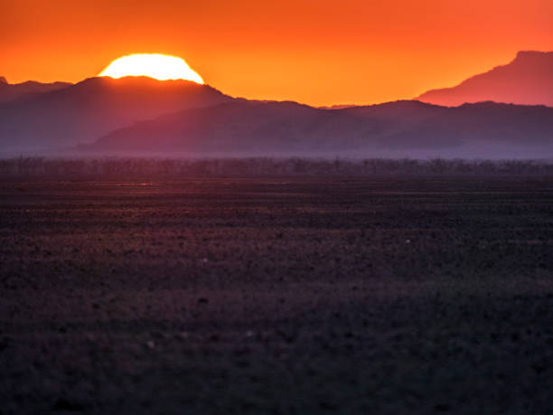 istock Sunrise on Namib desert 1014984136
