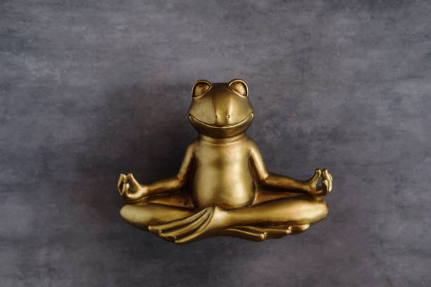 Smiling gold yoga frog meditating in lotus pose. Body, mind and soul balance concept. stock photo