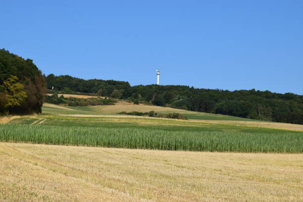 istock volcanic hills in Eifel region at harvest time 1014988256
