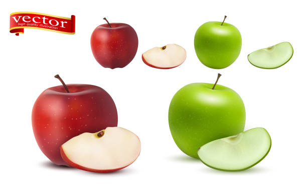 Highly realistic vector ripe juicy red and green apples with slices, natural texture. Highly realistic vector ripe juicy red and green apples with slices, natural texture. Templates for advertising juice, healthy lifestyle, diet, nutrition. Green, red apple isolated on white background green apple slices stock illustrations