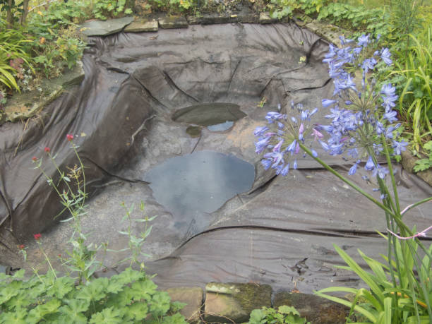 Old Pond before reconstruction An old pond with cracked and perished liner before being reconstructed from a figure of eight to a rectangular shape using pick axe and spade. water garden stock pictures, royalty-free photos & images