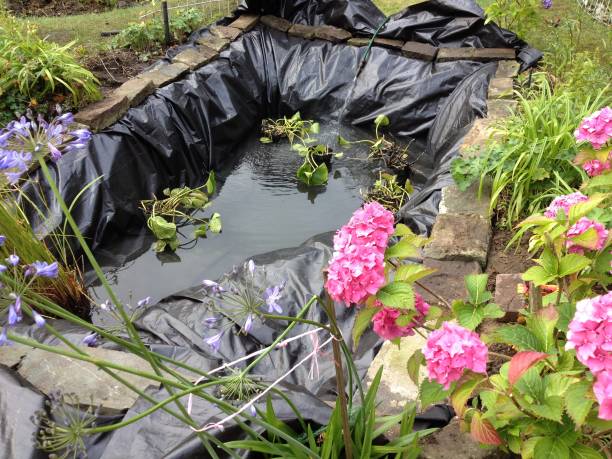 New Pond after reconstruction A new pond with new liner, not yet trimmed, after having been reconstructed from a figure of eight to a rectangular shape using pick axe and spade. water garden stock pictures, royalty-free photos & images