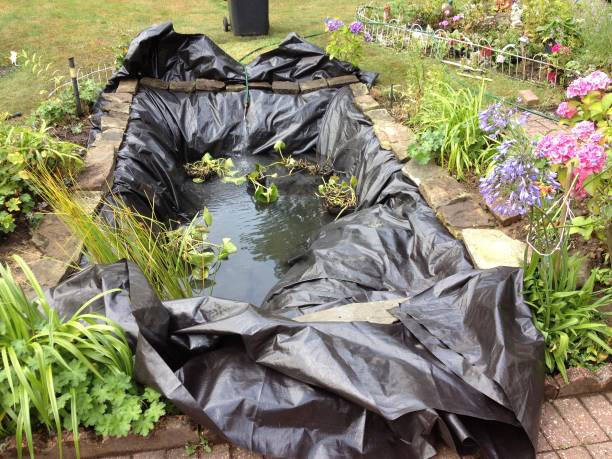 new pond after reconstruction - water lily lily water water garden imagens e fotografias de stock