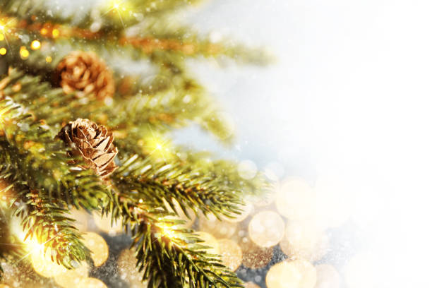 istock Holiday Christmas background 1015019446
