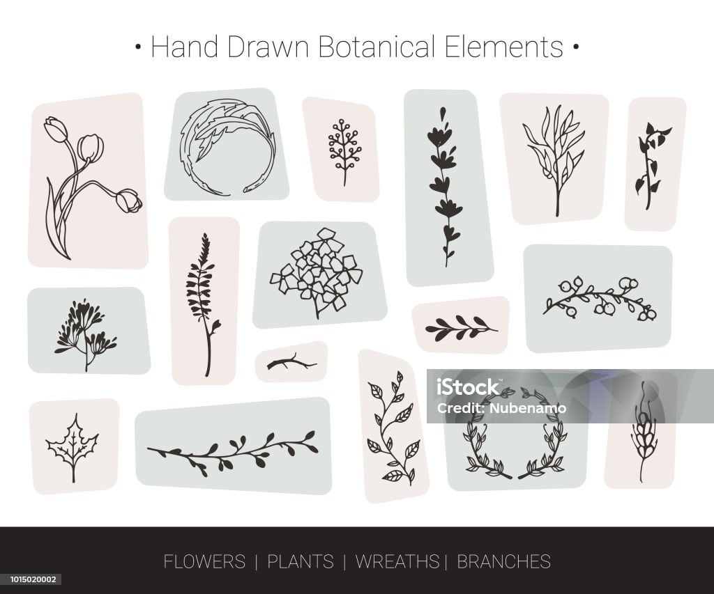 Herbal vector design elements. Hand drawn silhouettes of flowers, herbs, wreaths, tree branches. Logo design, fashion textile prints. Botanical vector design elements. Hand drawn vector silhouettes of flowers, herbs, wreaths, tree branches. Logo design, wedding invitation, greeting card decor, fashion textile and prints isolated on background. Border - Frame stock vector