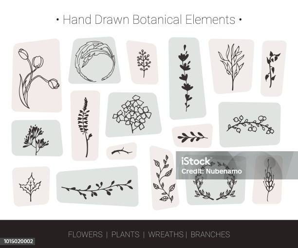 Herbal Vector Design Elements Hand Drawn Silhouettes Of Flowers Herbs Wreaths Tree Branches Logo Design Fashion Textile Prints Stock Illustration - Download Image Now