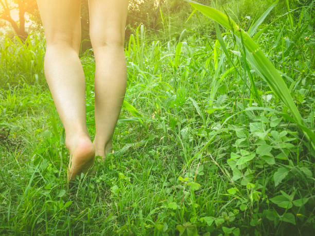 istock Young woman walks barefoot on grass in meadow. 1015037538