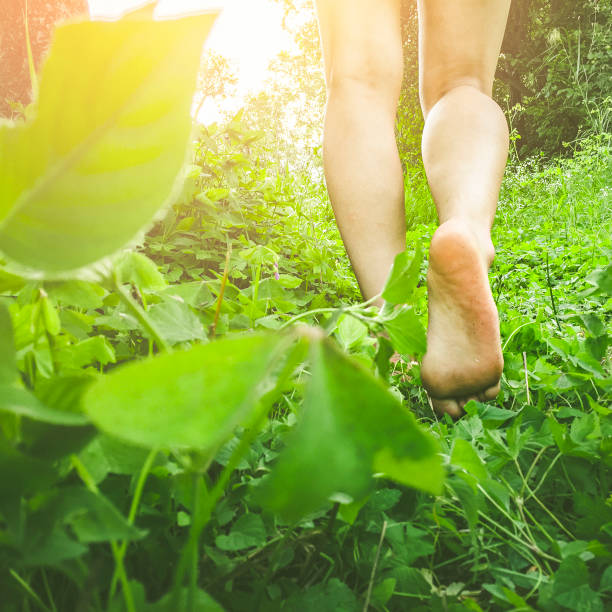 istock Young woman walks barefoot on grass in meadow. 1015037554