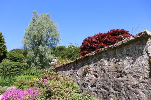 istock Flowers in flowerbeds 1015037826