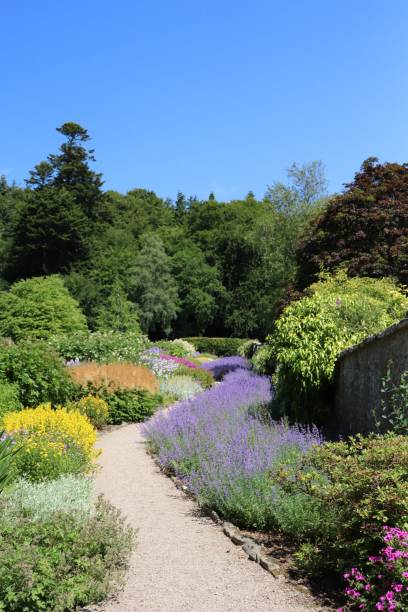 istock Flowers in flowerbeds 1015037862