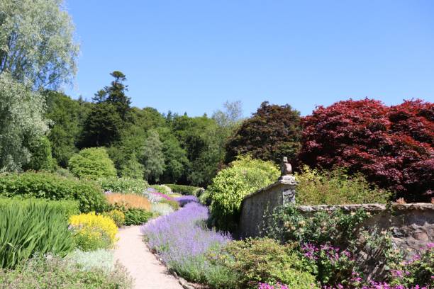 istock Flowers in flowerbeds 1015037886