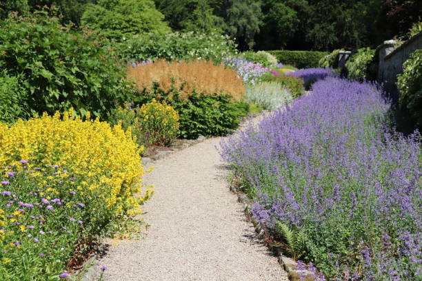 istock Flowers in flowerbeds 1015037912
