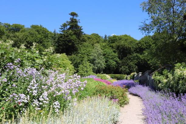istock Flowers in flowerbeds 1015037990