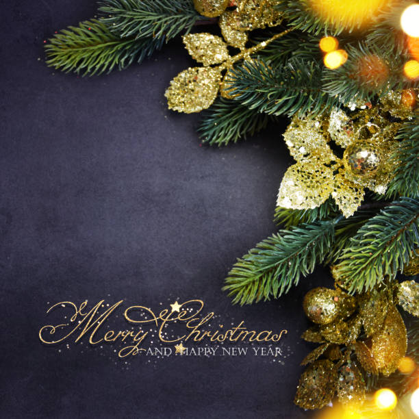istock Christmas holiday background with fir branch 1015041740