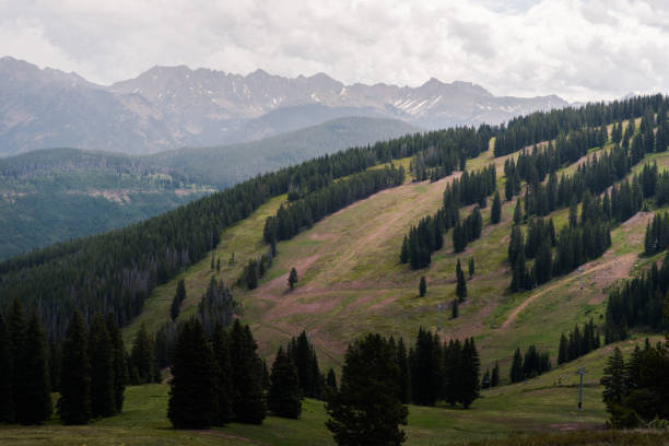 istock Ski runs on Vail Mountain during the summer. 1015052174
