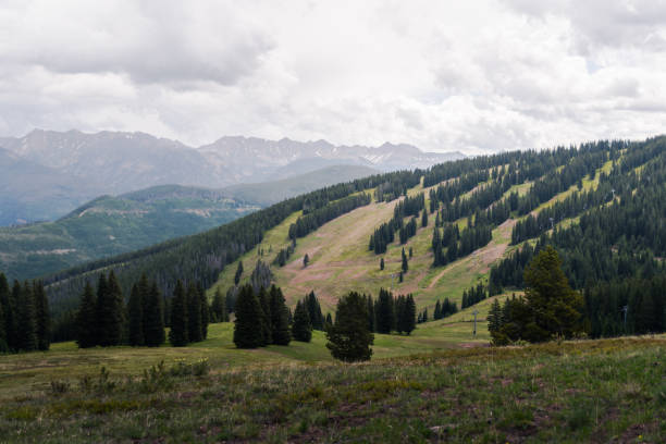 istock Ski runs on Vail Mountain during the summer. 1015052194