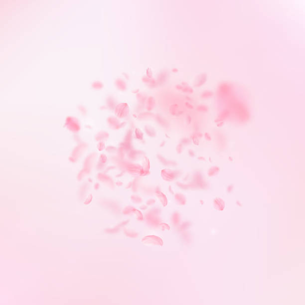 istock Sakura petals falling down. Romantic pink flowers explosion. Flying petals on pink square background 1015058924