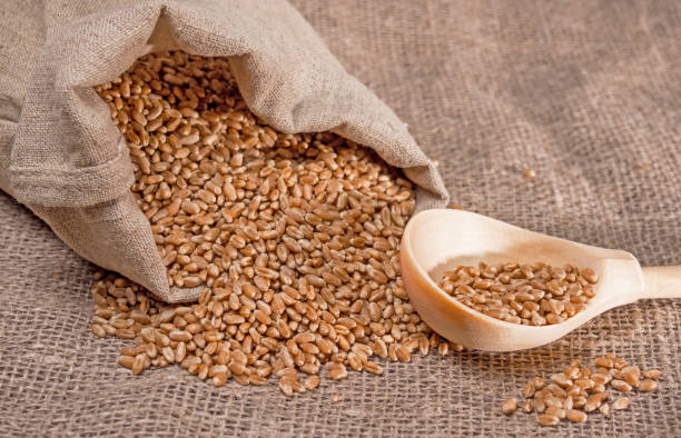 istock Wheat grain in a bag and a wooden spoon 1015067858