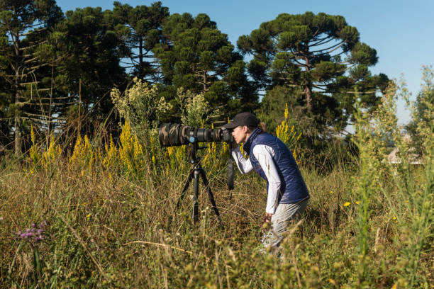 istock Wildlife photographer 1015072834