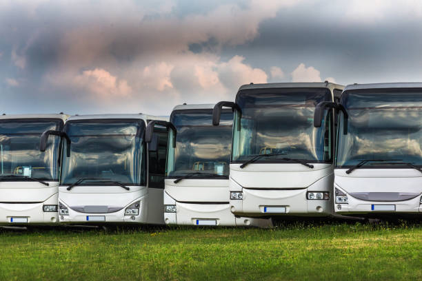 istock passenger buses in a row in front of a meadow 1015084830