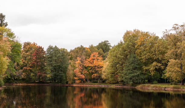 istock Autumn pond with autumn trees on the shore 1015085104