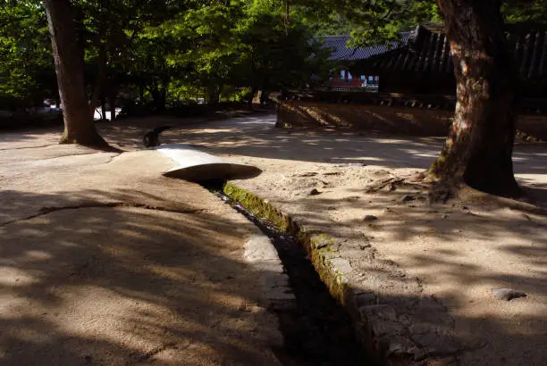 Buddhist temples, Gyeongsangbuk-do, kimchun-city, Korea