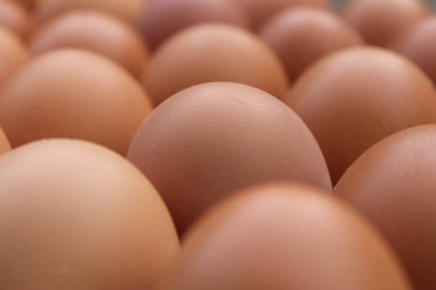 istock Close-up view of raw chicken eggs in egg box 1015099190