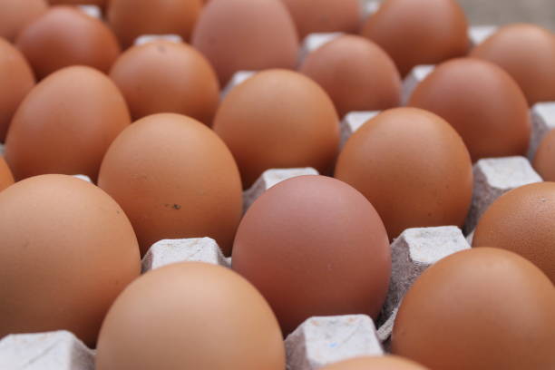 istock Close-up view of raw chicken eggs in egg box 1015099204