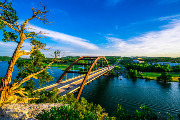 the lone tree on top of pennybacker bridge overlook in austin , texas - highway nobody town urban road imagens e fotografias de stock