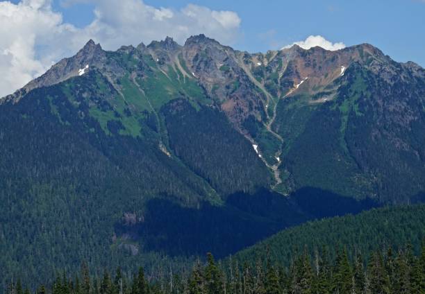 istock Mt. Baker Wilderness Green Zen 1015134500