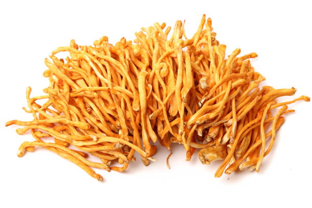 istock Cordyceps mushroom isolated on white background 1015143206