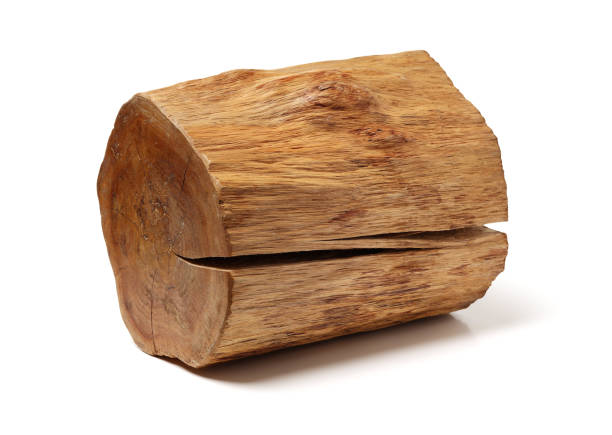 Wood log isolated on white background