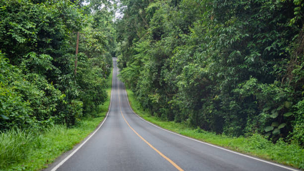 istock Mountain road with tropical trees along the sides 1015162854