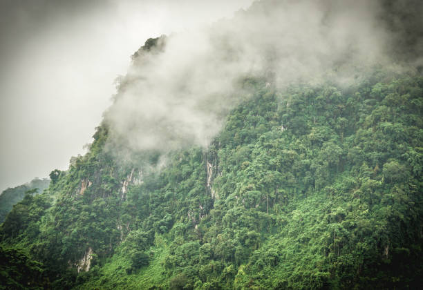 istock Misty mountain in rainy season at Doi Pha Mee, 1015169894