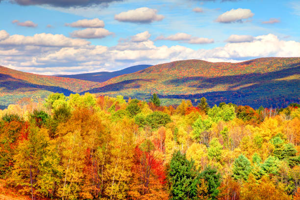 feuillage automnal dans la région des berkshires du massachusetts - berkshire hills photos et images de collection