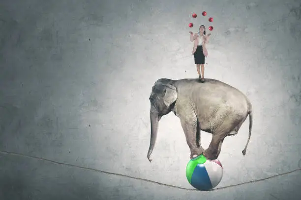 Picture of Caucasian businesswoman juggling with many red balls while standing above circus elephant