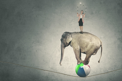 Female entrepreneur juggling with many of lamps while standing above circus elephant