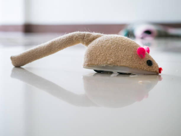 istock clockwork rat cat or dog toy isolated on white background 1015206666