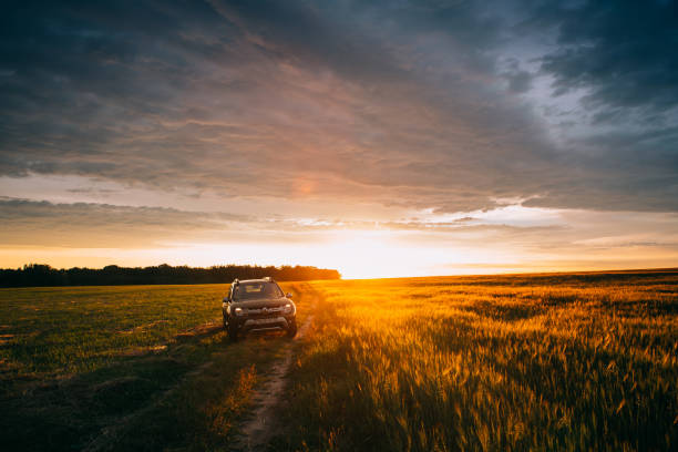 gomel, bielorrusia. renault duster o dacia duster suv en carretera a través de campo de trigo de verano en tiempo de puesta de sol increíble. producido conjuntamente por el fabricante francés renault duster - dacia fotografías e imágenes de stock