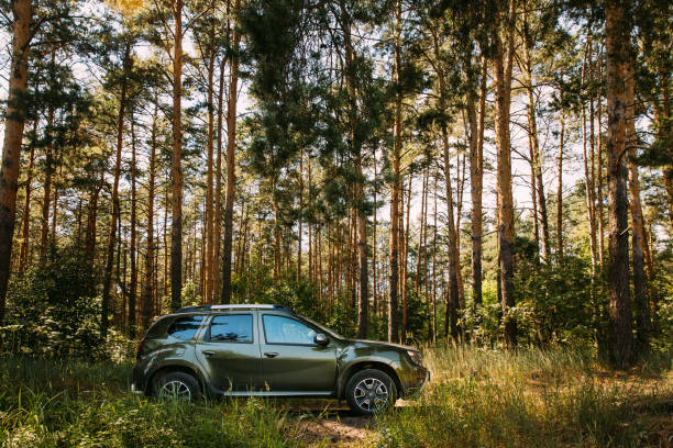 gomel, bielorrusia. renault duster suv en bosque de coníferas de verano. plumero había producido conjuntamente por el fabricante francés renault y su rumano dacia filial. - dacia fotografías e imágenes de stock