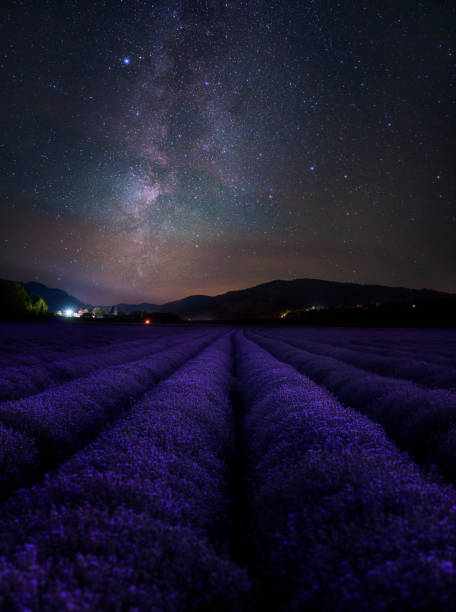 istock Lavender and milky way 1015226240