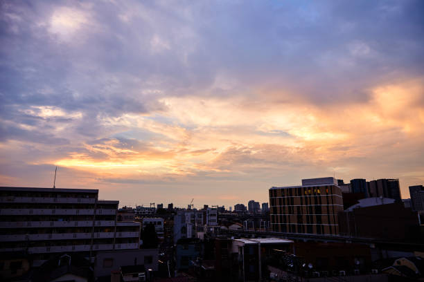 istock Evening landscape in Tokyo 1015240492