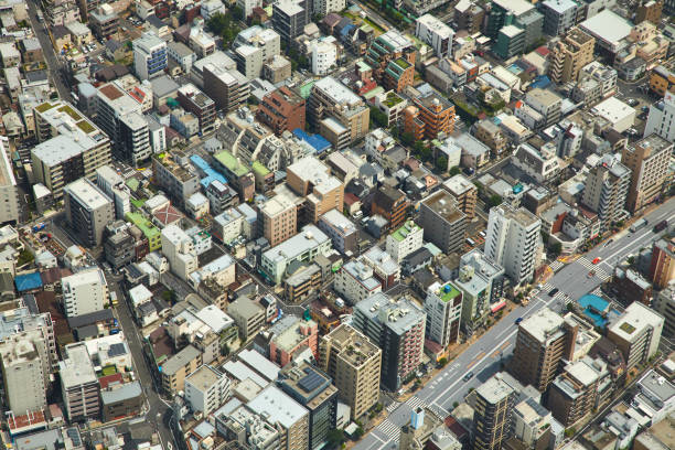 istock Tokyo seen from the sky 1015240498