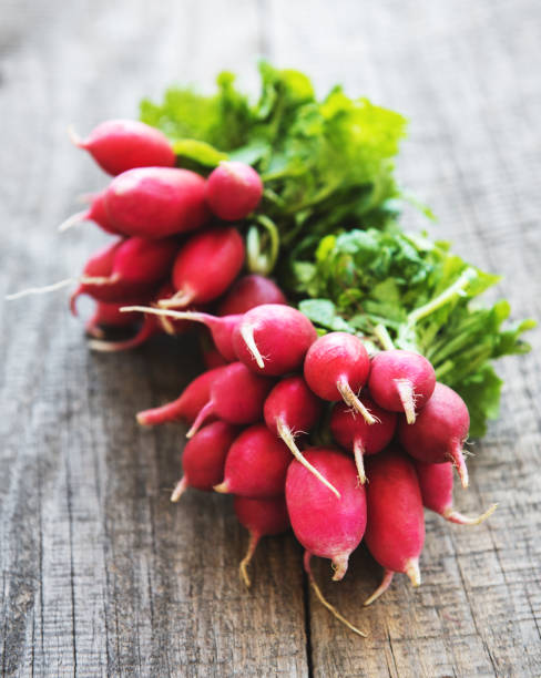 istock Fresh purple radish 1015243156