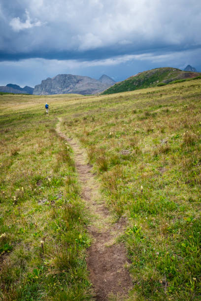 escursioni sopra la linea degli alberi mentre le tempeste si avvicinano - mountain peak long colorado mountain foto e immagini stock