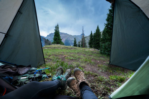 vista desde dentro de una tienda de campaña y acampar en montañas del san juan - colorado coniferous tree mountain range mountain fotografías e imágenes de stock