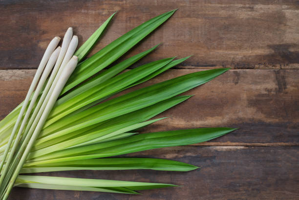 lemongrass and fresh pandan leaves on wooden floor. - lemon grass imagens e fotografias de stock