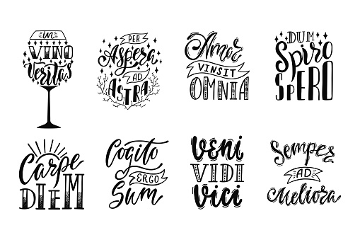 Set Of Latin Phrases Stock Illustration - Download Image Now - Art, Black  Color, Bundle - iStock